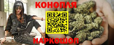 индика Будённовск