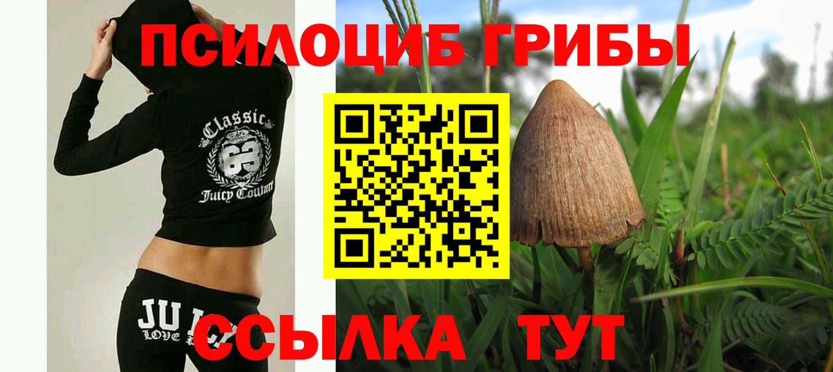 Псилоцибиновые грибы MAGIC MUSHROOMS Сальск
